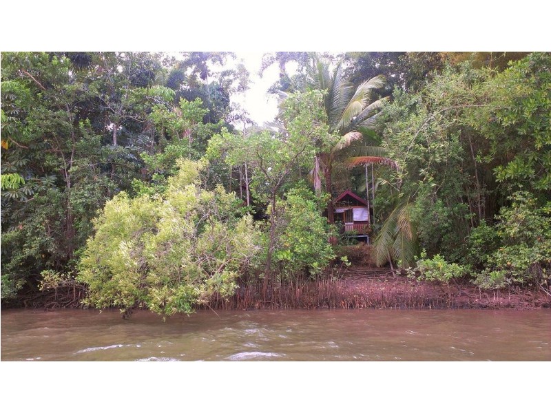 Lot 293 Daintree River Forest Creek, Daintree QLD 4873