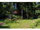 Lot 293 Daintree River Forest Creek, Daintree QLD 4873