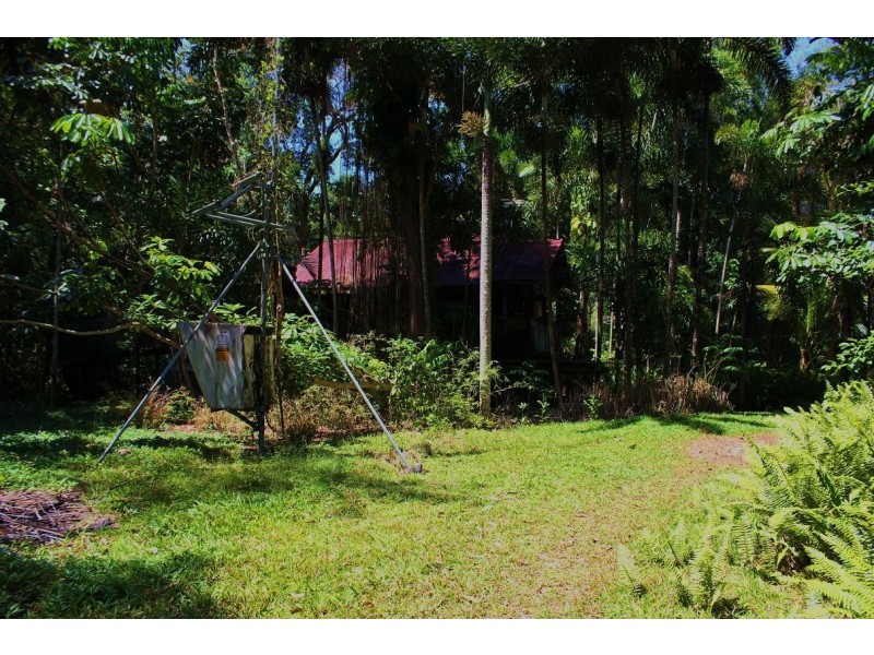 Lot 293 Daintree River Forest Creek, Daintree QLD 4873