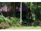 Lot 293 Daintree River Forest Creek, Daintree QLD 4873