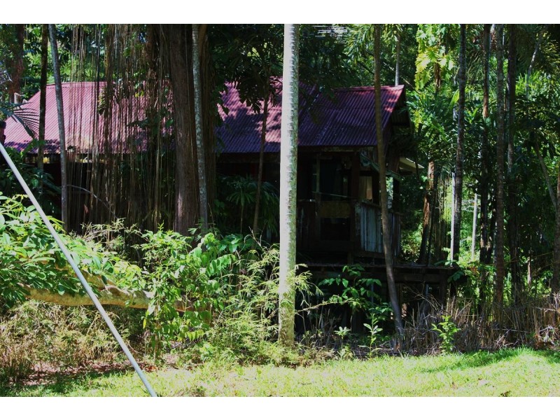 Lot 293 Daintree River Forest Creek, Daintree QLD 4873