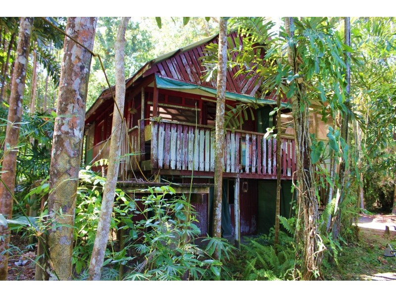 Lot 293 Daintree River Forest Creek, Daintree QLD 4873