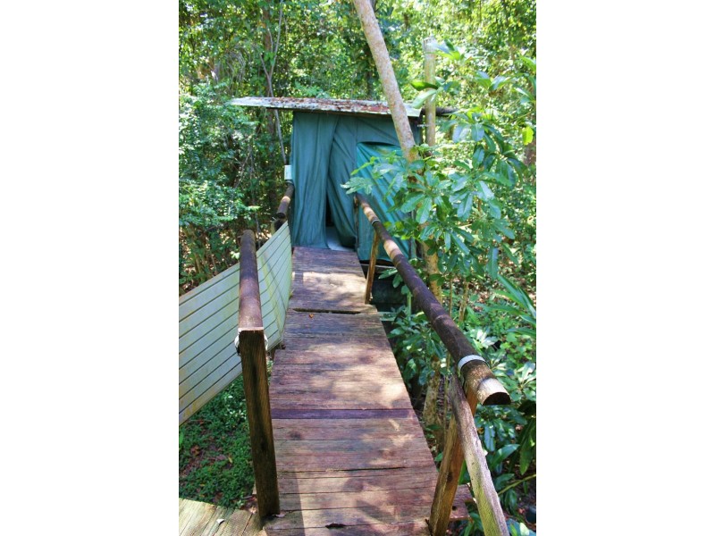 Lot 293 Daintree River Forest Creek, Daintree QLD 4873