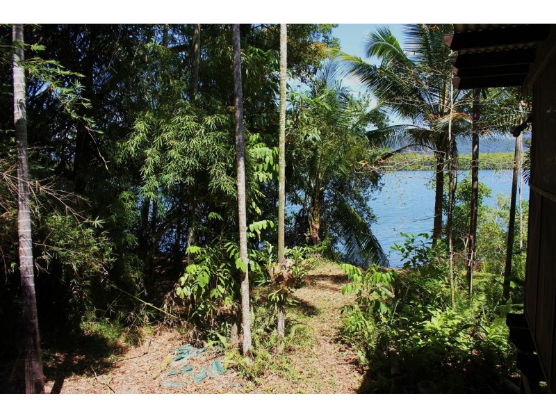 Lot 293 Daintree River Forest Creek, Daintree QLD 4873