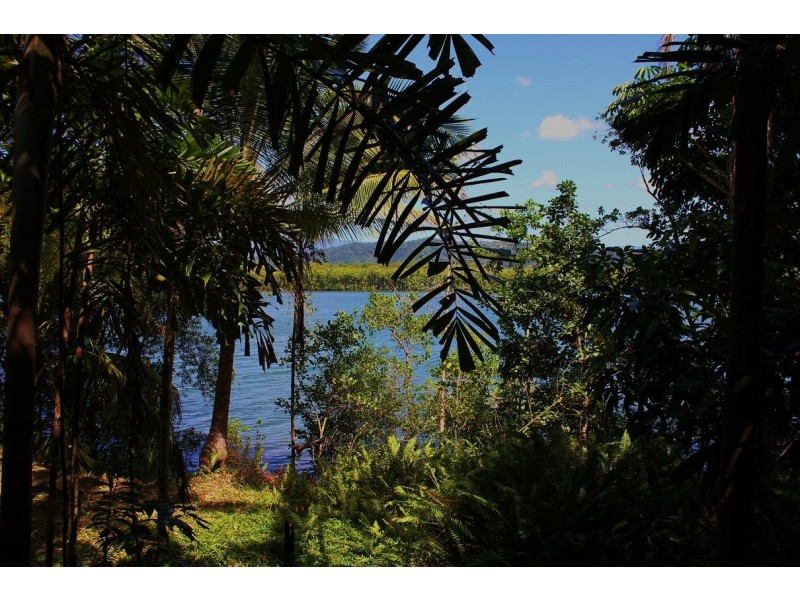 Lot 293 Daintree River Forest Creek, Daintree QLD 4873