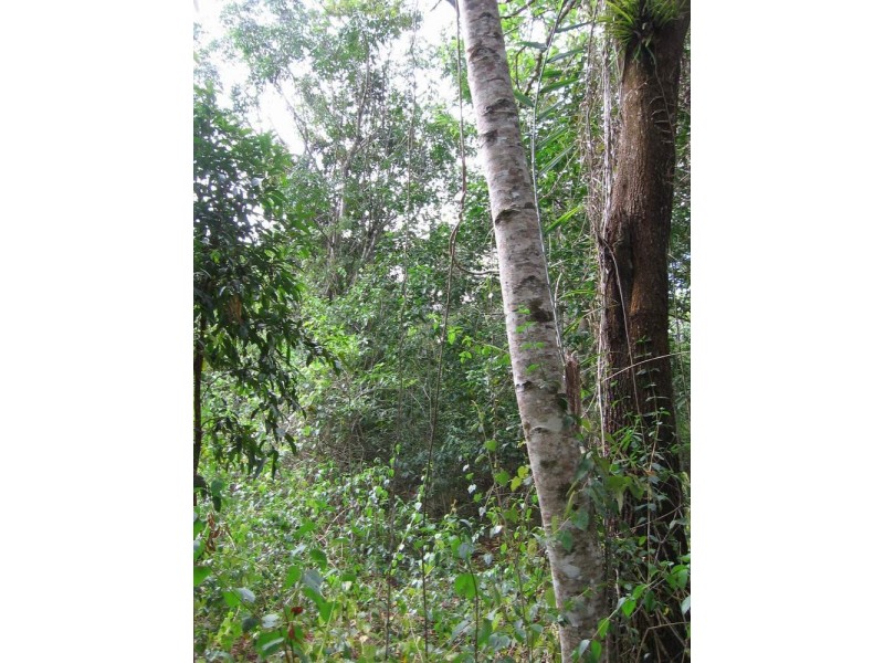LOT 34 Salisbury Drive, Julatten QLD 4871