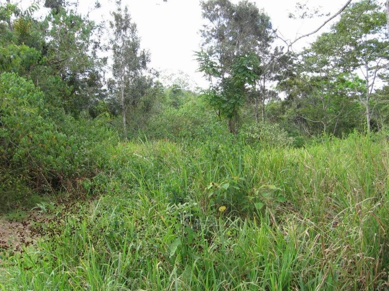 Lot 34 Salisbury  Drive, Julatten QLD 4871