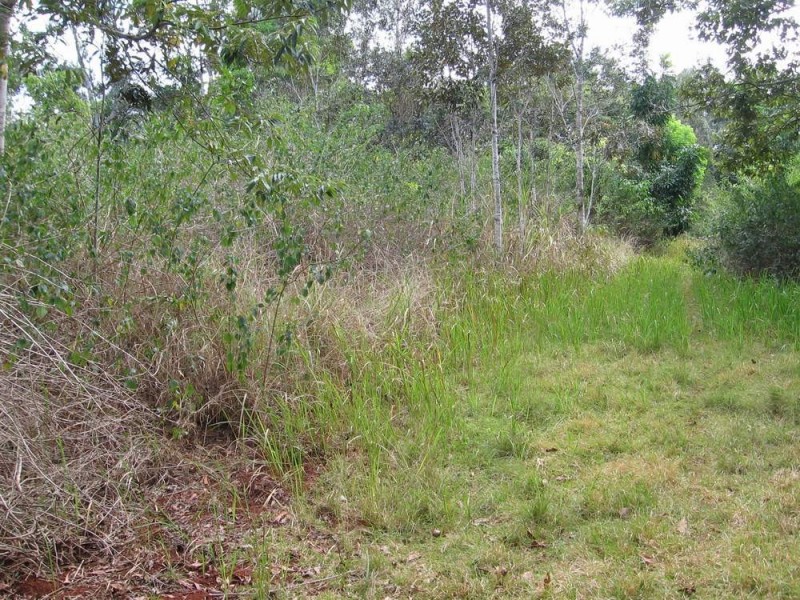 Lot 34 Salisbury  Drive, Julatten QLD 4871