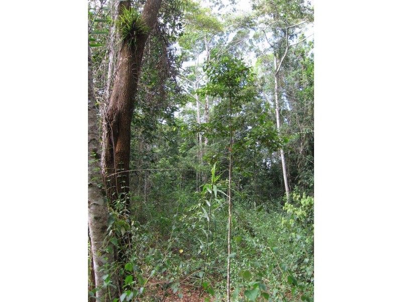 Lot 34 Salisbury  Drive, Julatten QLD 4871