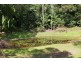 39 CAPE TRIBULATION RD KIMBERLEY, Daintree QLD 4873