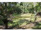 39 CAPE TRIBULATION RD KIMBERLEY, Daintree QLD 4873