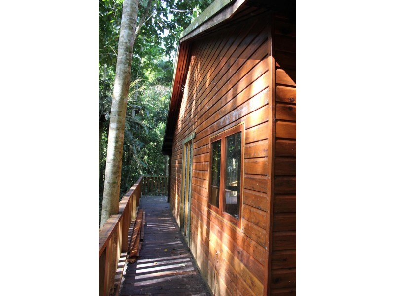 Lot 460 Blackbean Road COW BAY, Daintree QLD 4873