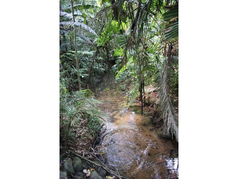Lot 460 Blackbean Road COW BAY, Daintree QLD 4873