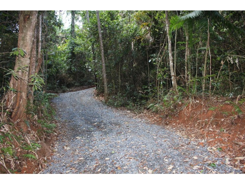 Lot 460 Blackbean Road COW BAY, Daintree QLD 4873