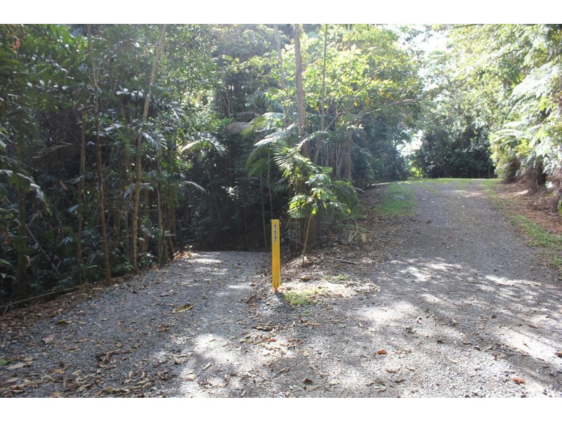 Lot 460 Blackbean Road COW BAY, Daintree QLD 4873