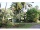 48 Fig Tree Road COW BAY, Daintree QLD 4873