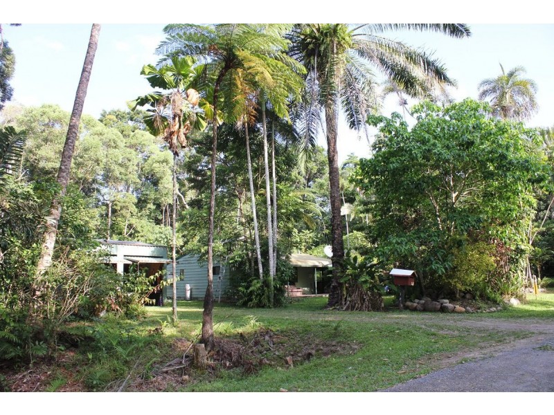48 Fig Tree Road COW BAY, Daintree QLD 4873