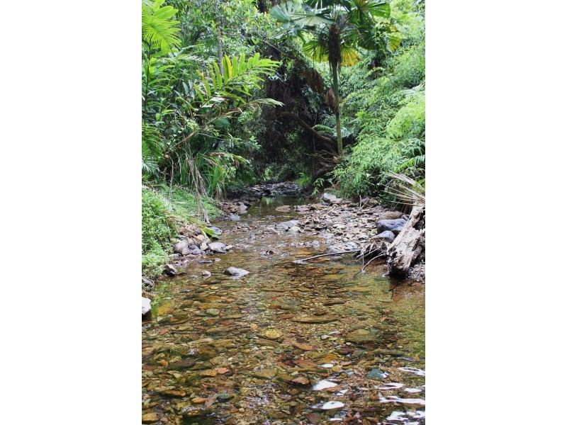 48 Fig Tree Road COW BAY, Daintree QLD 4873