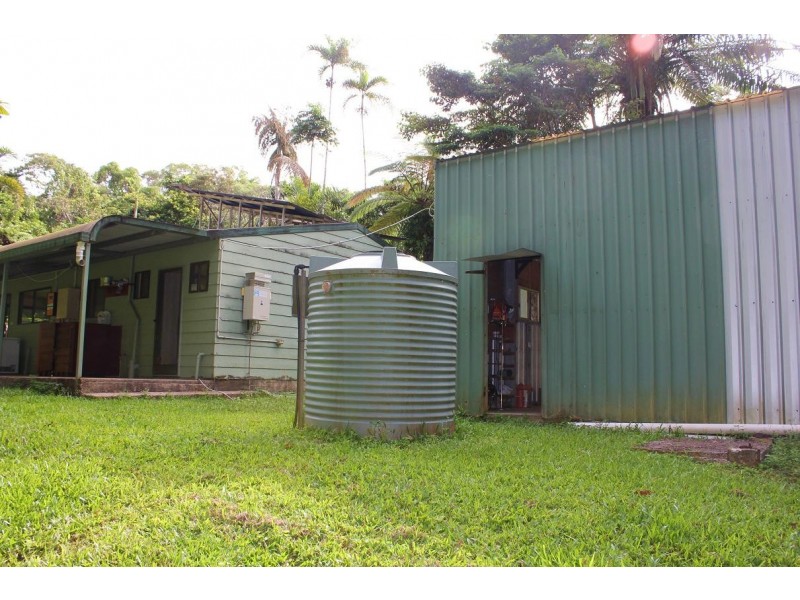 48 Fig Tree Road COW BAY, Daintree QLD 4873