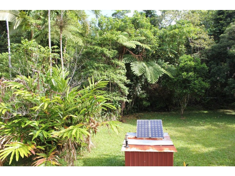 48 Fig Tree Road COW BAY, Daintree QLD 4873