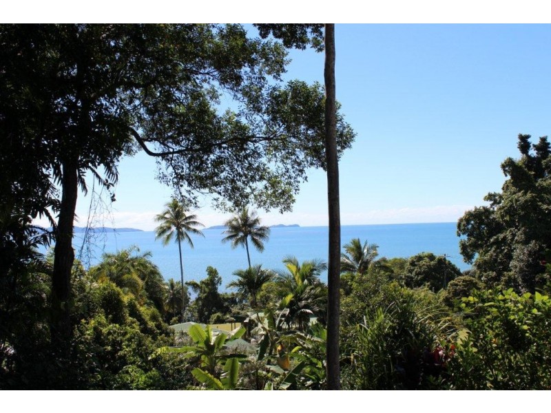 1299 Mossman Daintree Road, Rocky Point QLD 4873