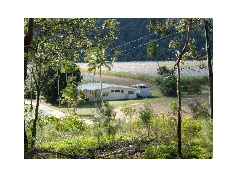 Lot 115 Mossman Daintree Road, Daintree QLD 4873