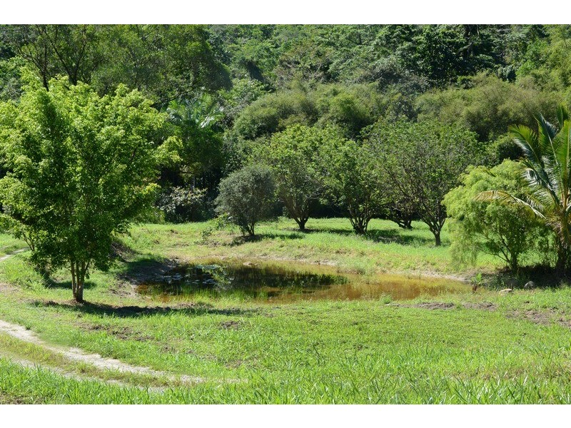 13 and 16 Whyanbeel Rd, Whyanbeel QLD 4873