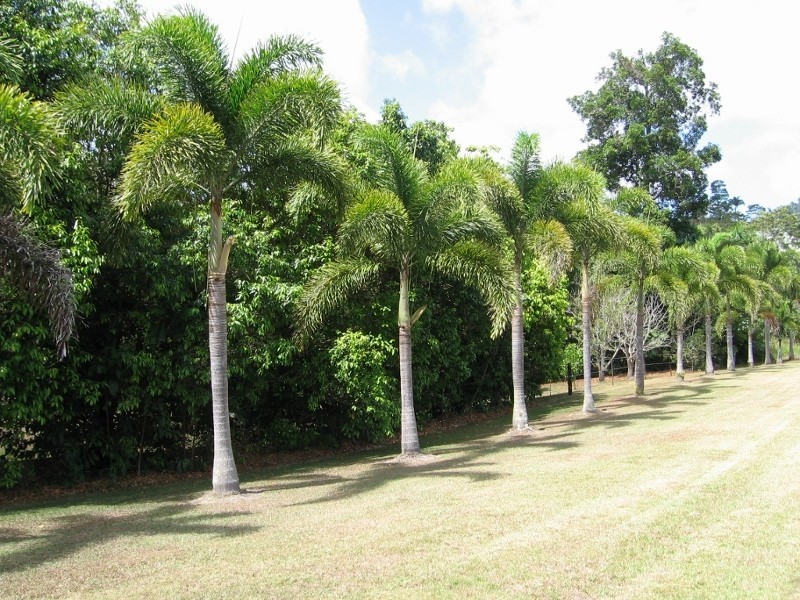 Julatten QLD 4871