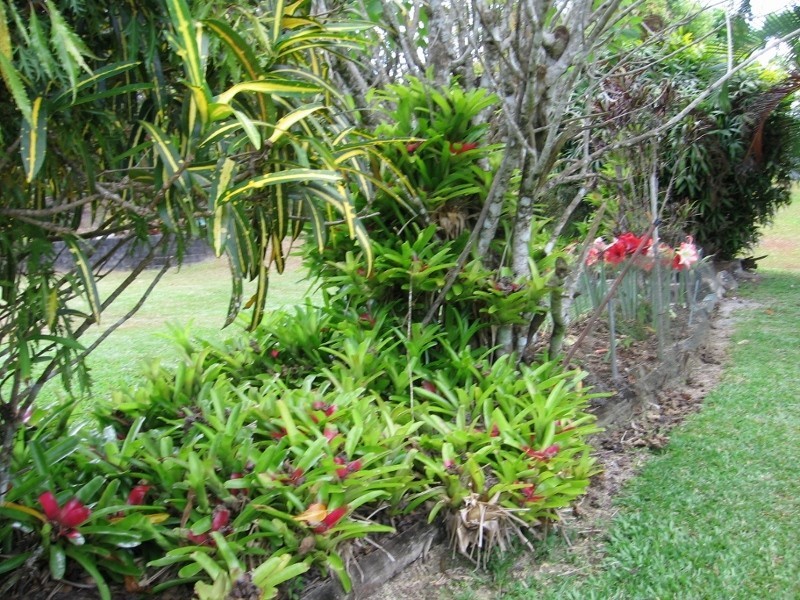 Julatten QLD 4871