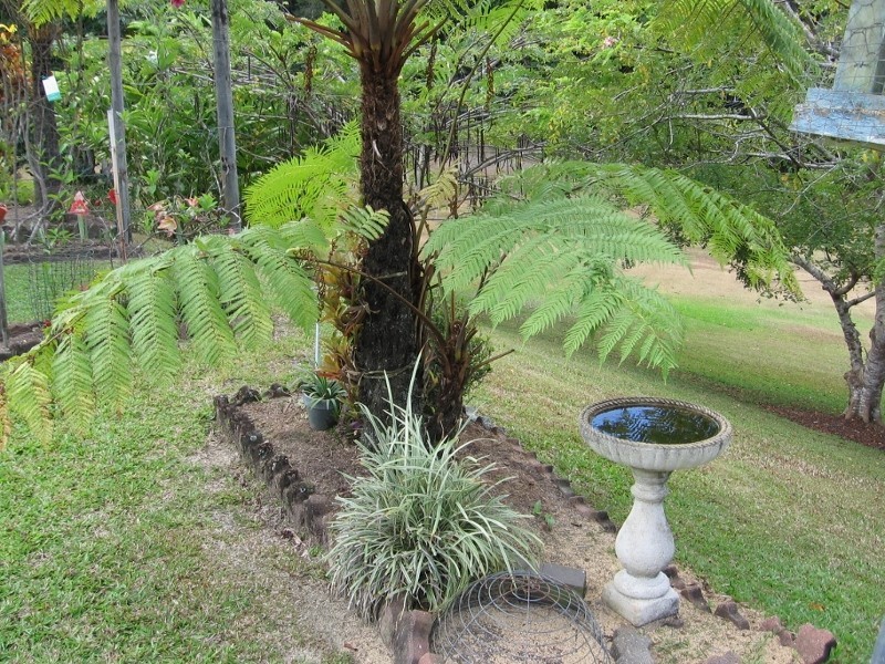 Julatten QLD 4871