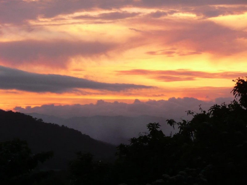 Lot 3, 122R Forest Creek Road, Forest Creek, Daintree QLD 4873