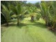 Lot 3, 122R Forest Creek Road, Forest Creek, Daintree QLD 4873