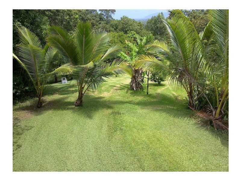 Lot 3, 122R Forest Creek Road, Forest Creek, Daintree QLD 4873