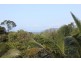 Lot 3, 122R Forest Creek Road, Forest Creek, Daintree QLD 4873