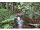 Lot 4 Thornton Peak Drive FOREST CREEK, Daintree QLD 4873