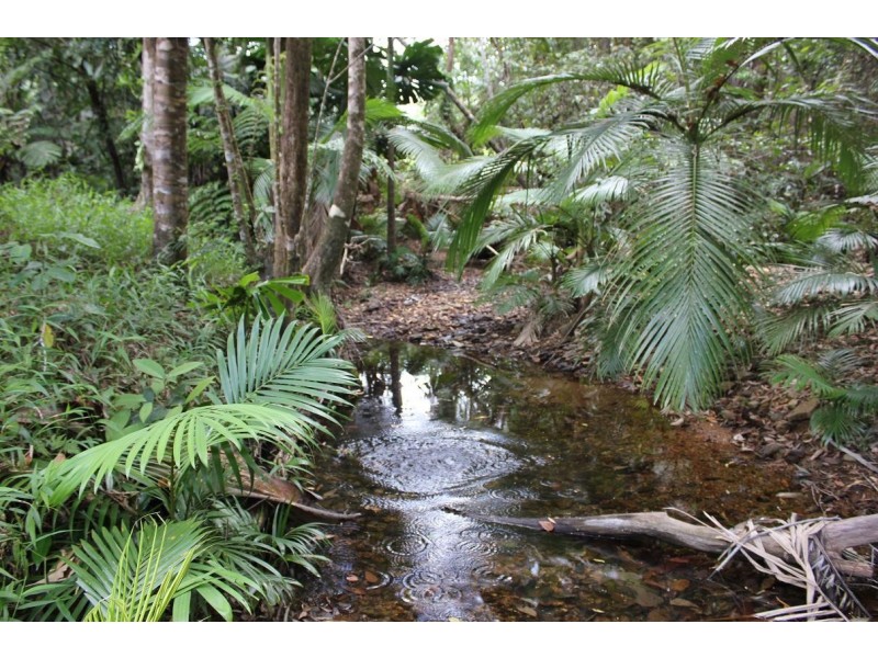 Lot 4 Thornton Peak Drive FOREST CREEK, Daintree QLD 4873