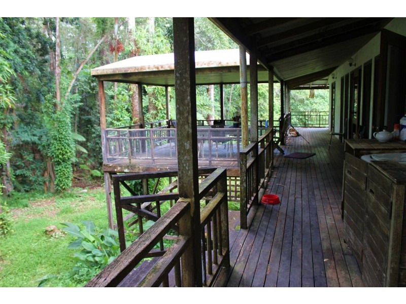 Lot 4 Thornton Peak Drive FOREST CREEK, Daintree QLD 4873