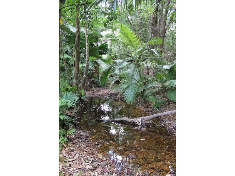 Lot 4 Thornton Peak Drive FOREST CREEK, Daintree QLD 4873