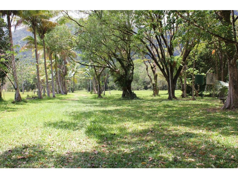 Lot 4 Thornton Peak Drive FOREST CREEK, Daintree QLD 4873
