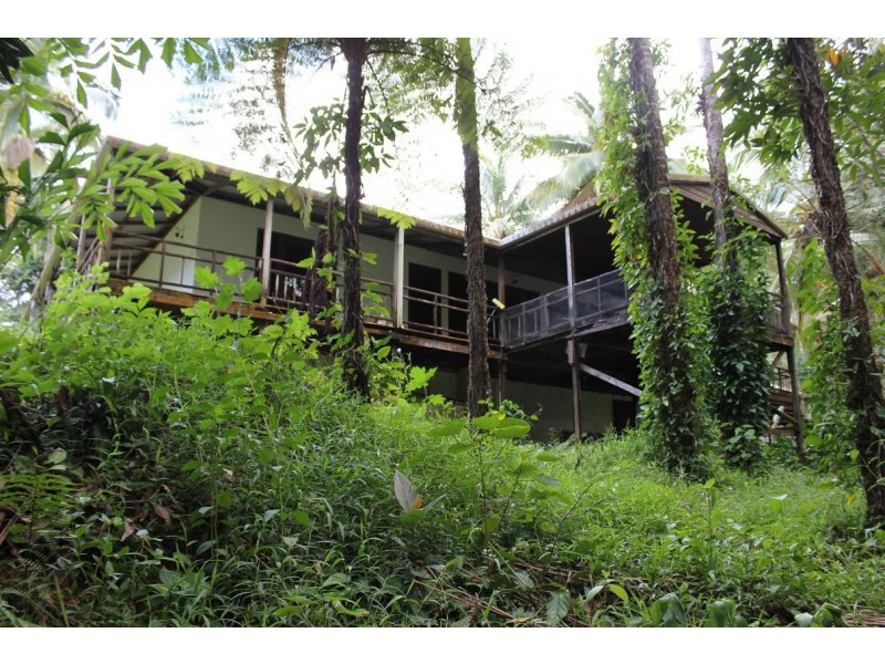 Lot 4 Thornton Peak Drive FOREST CREEK, Daintree QLD 4873