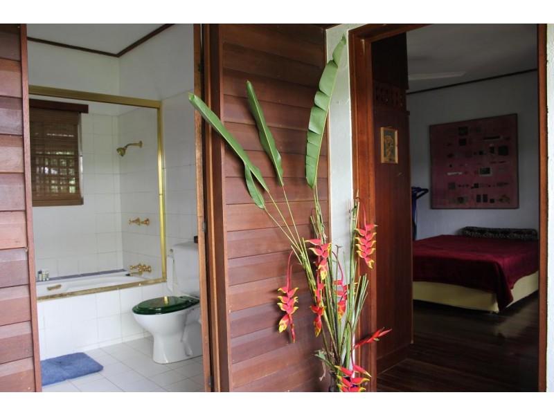 Lot 4 Thornton Peak Drive FOREST CREEK, Daintree QLD 4873