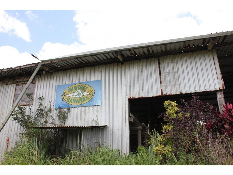 Lot 1 and 3 Thornton Peak Drive FOREST CREEK, Daintree QLD 4873