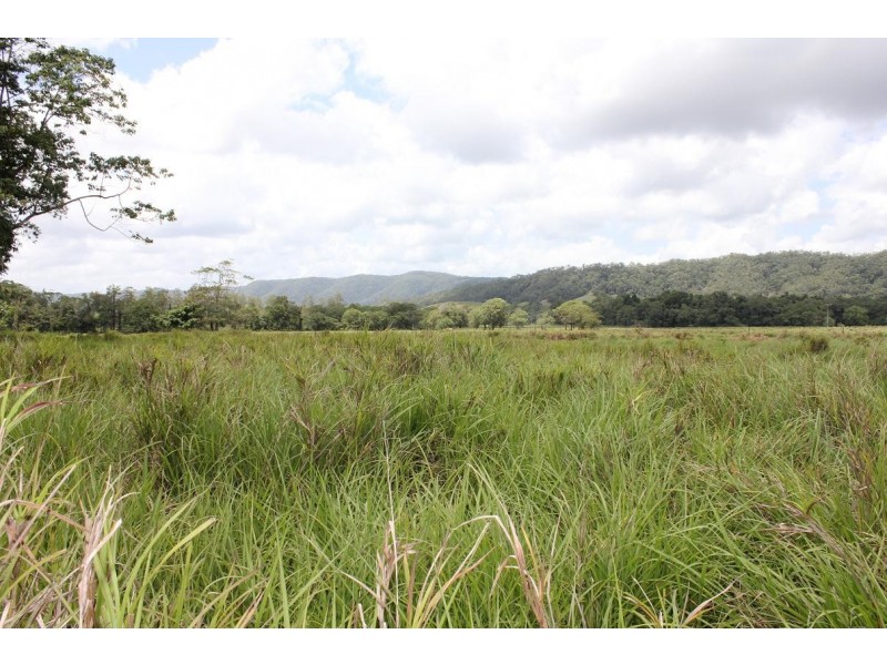 Lot 1 and 3 Thornton Peak Drive FOREST CREEK, Daintree QLD 4873