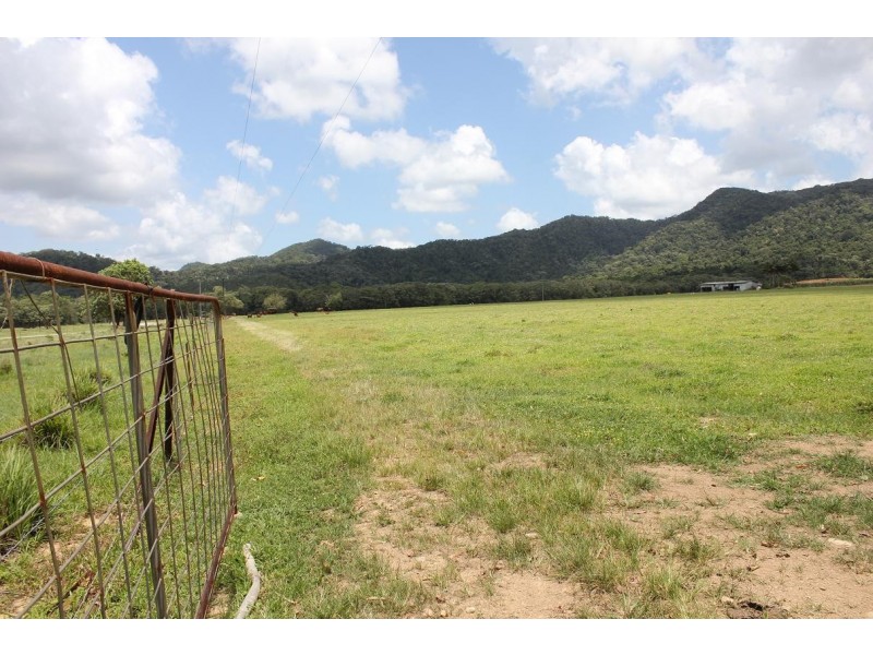 Lot 1 and 3 Thornton Peak Drive FOREST CREEK, Daintree QLD 4873