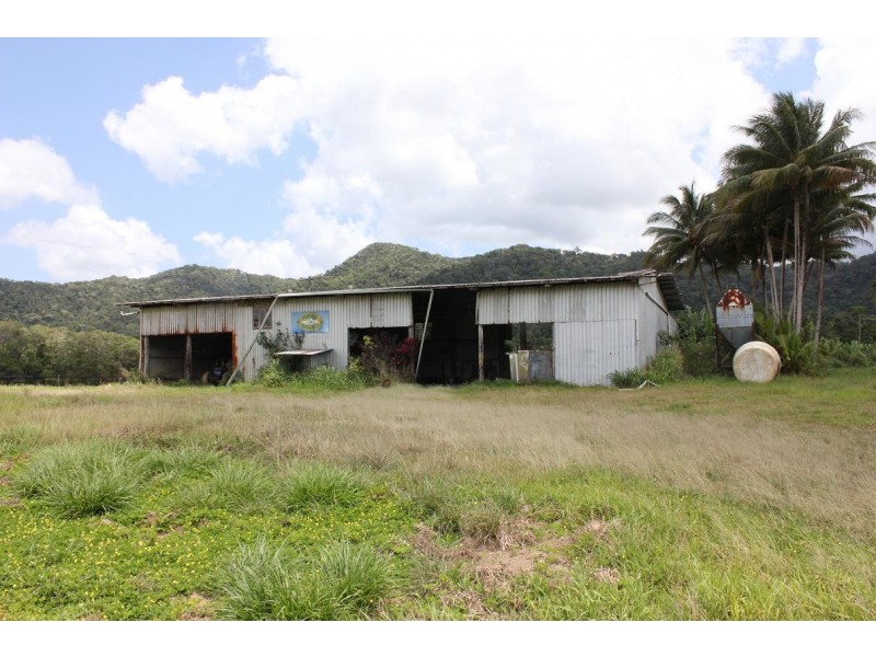 Lot 1 and 3 Thornton Peak Drive FOREST CREEK, Daintree QLD 4873