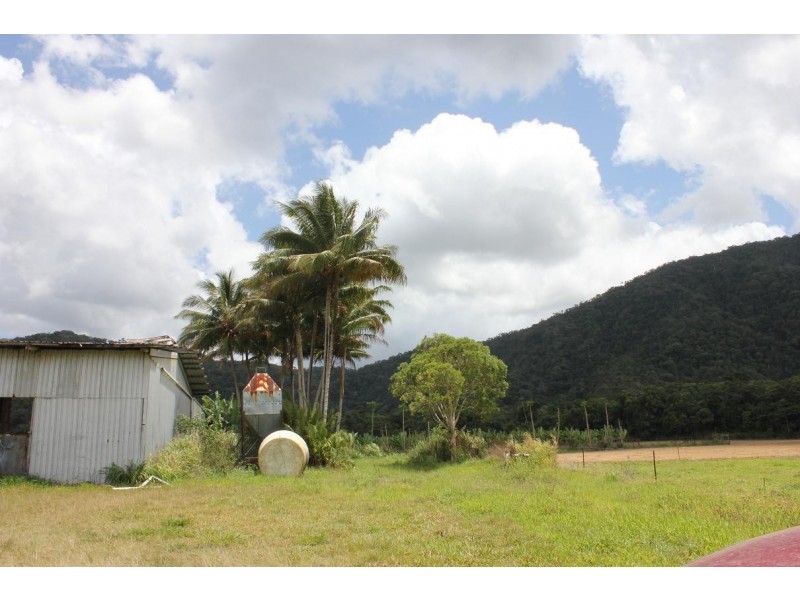 Lot 1 and 3 Thornton Peak Drive FOREST CREEK, Daintree QLD 4873