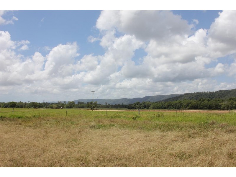 Lot 1 and 3 Thornton Peak Drive FOREST CREEK, Daintree QLD 4873