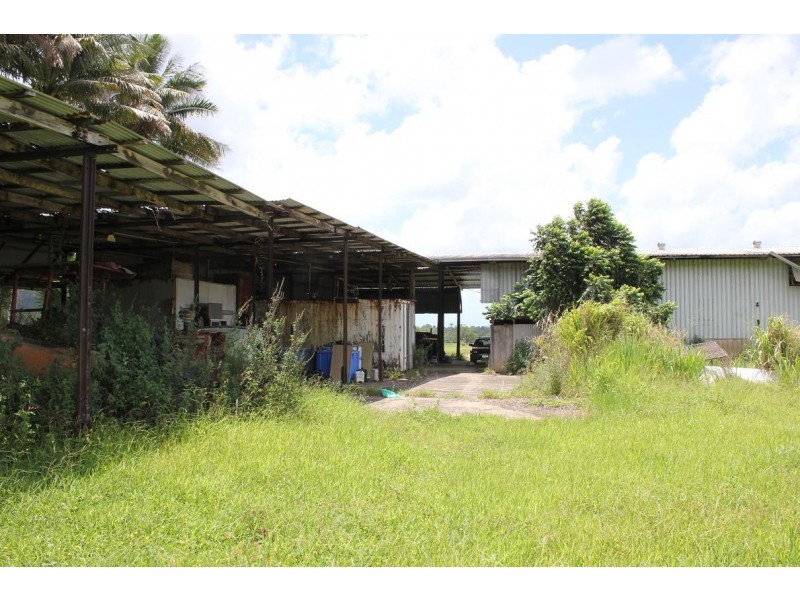 Lot 1 and 3 Thornton Peak Drive FOREST CREEK, Daintree QLD 4873