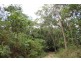 Lot 1 and 3 Thornton Peak Drive FOREST CREEK, Daintree QLD 4873