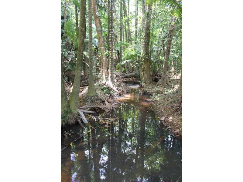 Lot 1 and 3 Thornton Peak Drive FOREST CREEK, Daintree QLD 4873